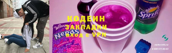 гашик Алексин
