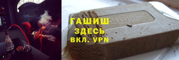 гашик Алексин