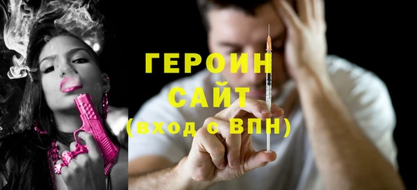 гашик Алексин