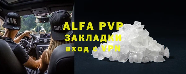 стаф Алзамай
