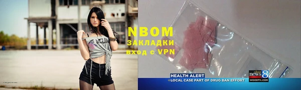 стаф Алзамай