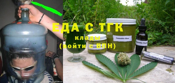 гашик Алексин