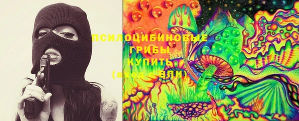 стаф Алзамай
