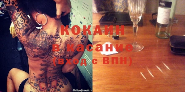 гашик Алексин