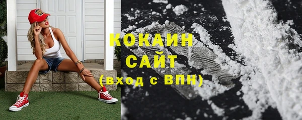 стаф Алзамай