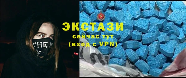 гашик Алексин