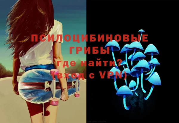 гашик Алексин