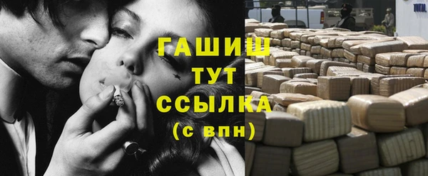 стаф Алзамай