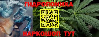 тгк Канаш