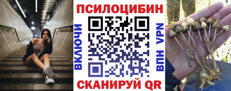 Псилоцибиновые грибы MAGIC MUSHROOMS  Лабинск 